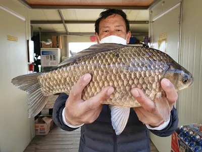 고삼지 시즌 사짜붕어 정주행중!!