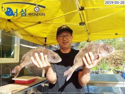 5월20일 어심바다낚시터조황