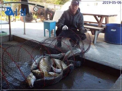 5월6일 어심바다낚시터조황 