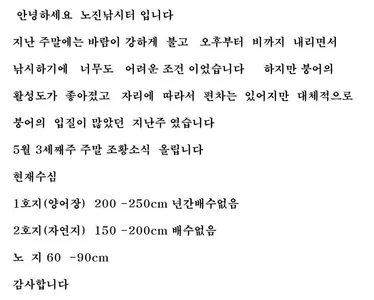 노진낚시터  ( 토 종 잡 이 터) 조황 소식 입니다~