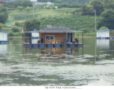 6월을 이렇게 보내렵니다....