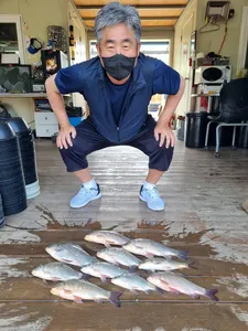 고삼지 주말 마리수 조황!!!