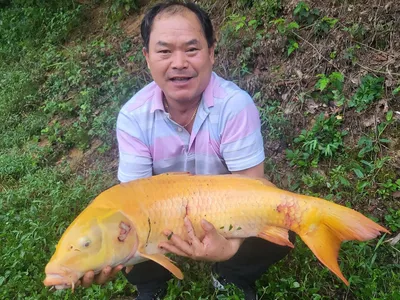 용담대물낚시터 