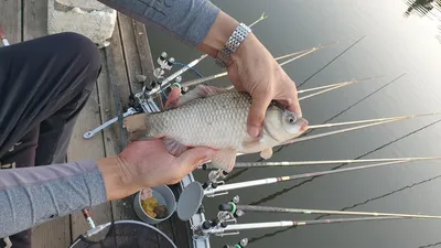 아산 명품 월랑낚시터 10월 두번째 조황이야기입니다...^^