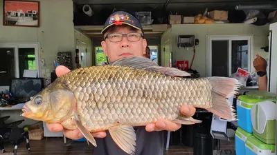 고삼지 본격적인 낚시시즌 사짜조황입니다.