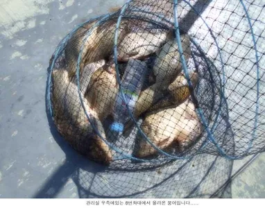 춥네요,방한준비하고 출조하세요...