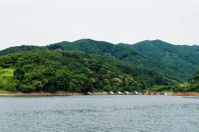 안성 두메낚시터 6월20일 조황안내. 