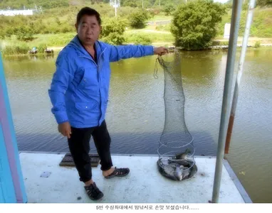 토종붕어 방류와 조황입니다....