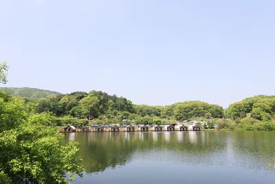 안성 두메낚시터 4월25일 모습 