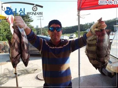 6월15일 어심바다낚시터조황 