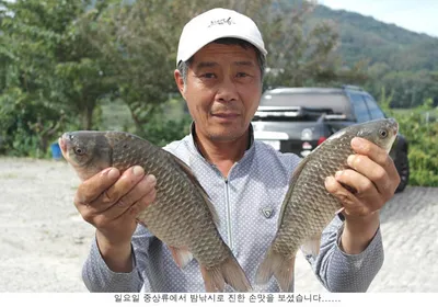 10월 마지막주에 나온 조황들.....