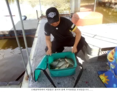 붕어도 방류하고 조황도 올리고....