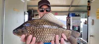 고삼지 11월의 행복!! 사짜조황