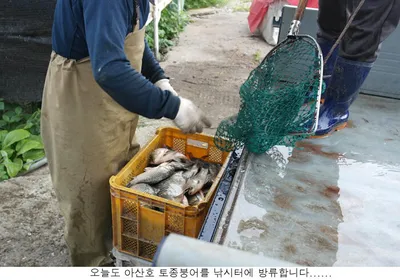 신봉지 낚시여건은 아주좋은데....