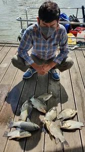 고삼지 가을낚시 보장된 손맛!!