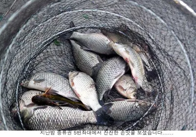 6월도 절반이 지나갑니다.....