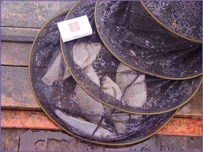 ♡ 춘천의암호 ★ 자갈섬낚시터 ♡