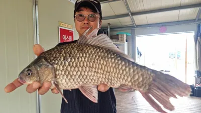 고삼지 마리수 조황!!
