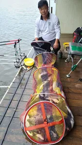 가을 붕어시즌  양평 수곡낚시터 9월 첫째주 주후반 붕어이야기