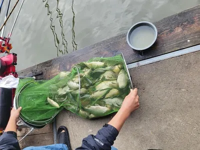 반제낚시터 조황정보입니다