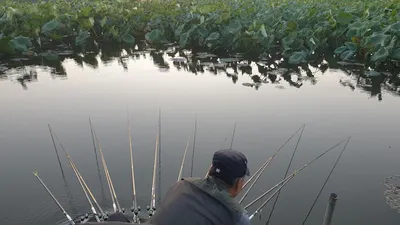 아산 명품 월랑낚시터 10월 첫번째 조황이야기입니다...^^