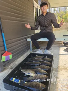 화곡낚시터 조황정보