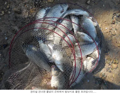 지독한 가뭄으로 힘이드네요....