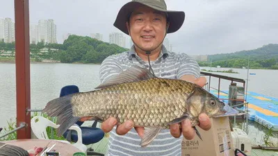아산 명품 월랑낚시터 5월 네번째 조황이야기입니다...^^