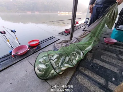 가깝고 물 좋고 경치 좋은 곳~~!!-용인삼인낚시터-