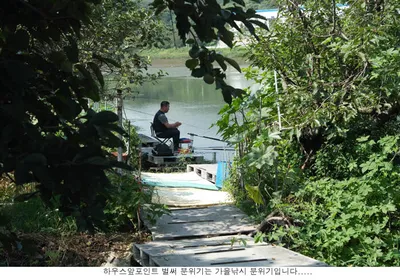 신봉지 올만에 조황입니다...