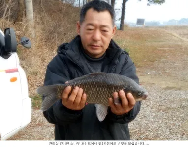 올첮 4짜토종 붕어가 나온주말입니다....