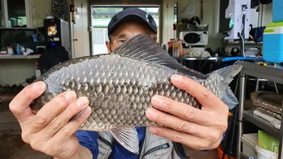 고삼지 환상적 찌올림에 마리수 타작!!
