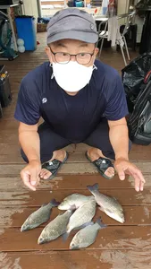 고삼지 주말 조황입니다!!