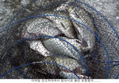 지겨운 폭염이 아직도......