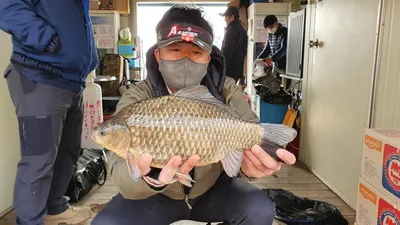 연일 사짜 붕어조황의 고삼지 양촌좌대포인트!!