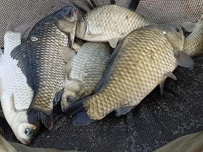 아름다운장계지에서