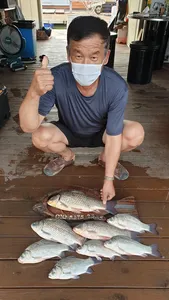 고삼지 사짜붕어 덜컹!! 마리수 조황까지!!