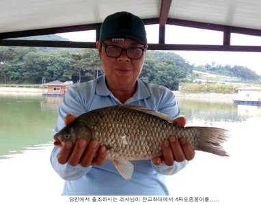 오랜만에 신봉지 조황 올립니다....