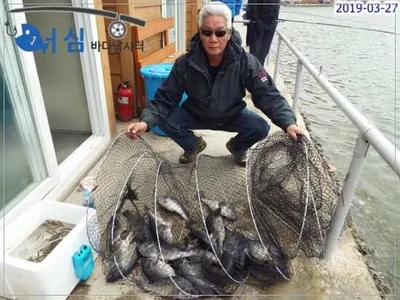 3월27일 어심 바다낚시터조황 