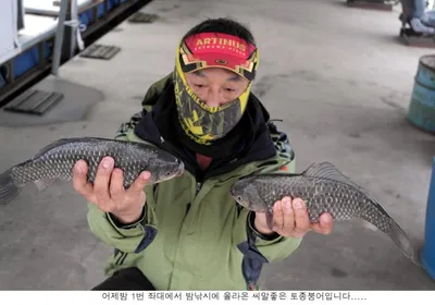 2월 마지막날 37등등 조황입니다....