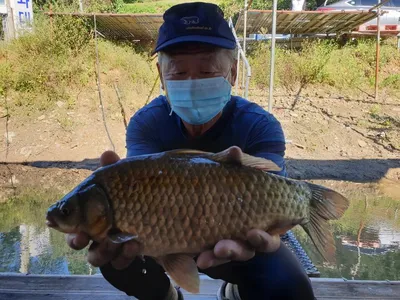 고삼지 최고의 포인트 상류권 독점 조황입니다.