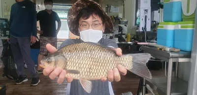 고삼지 덩어리 조황에 사짜붕어까지!!