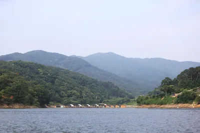 안성 두메낚시터 6월10일 조황안내. 