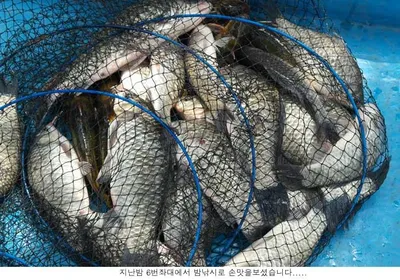 연휴에 비가내려서 아쉬움이....