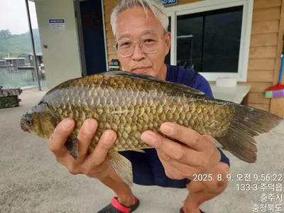 화곡낚시터 조황정보 
