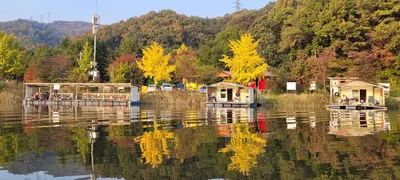 힐링이있는 양평 수곡낚시터 조황 및 방류 소식입니다