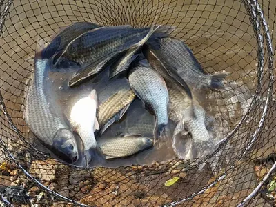 아름다운계곡속에자리잡은장계지에서