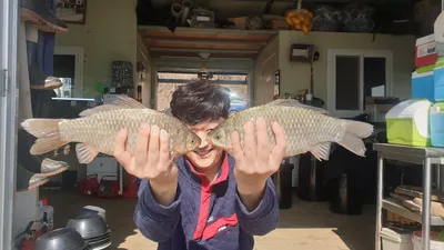 봄을 알리는 고삼저수지 양촌좌대 입니다.