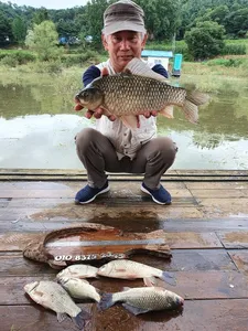 고삼지 상류권 덩어리의 움직임!!