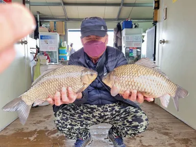 고삼지 독보적인 사짜조황 이어집니다.